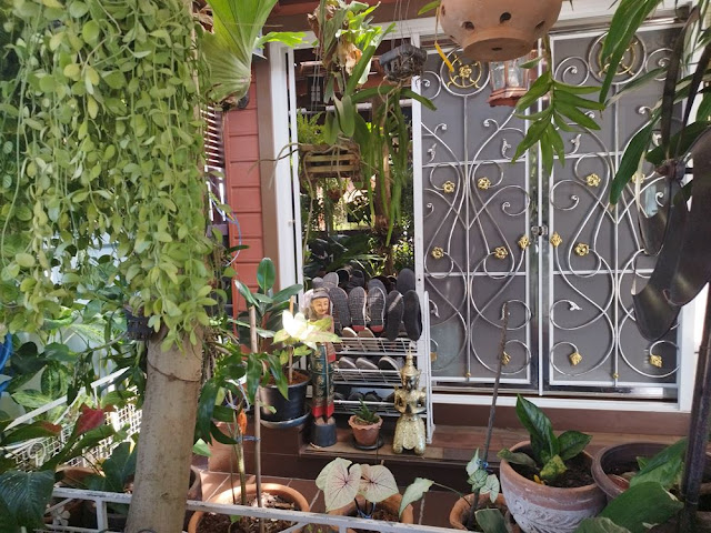 ขายด่วน ราคาถูก บ้าน ในหัวหิน จังหวัดประจวบ ซอยจะอยู่ตรงข้าม หมู่บ้านศิลปินหัวหิน โทร 0810117012
